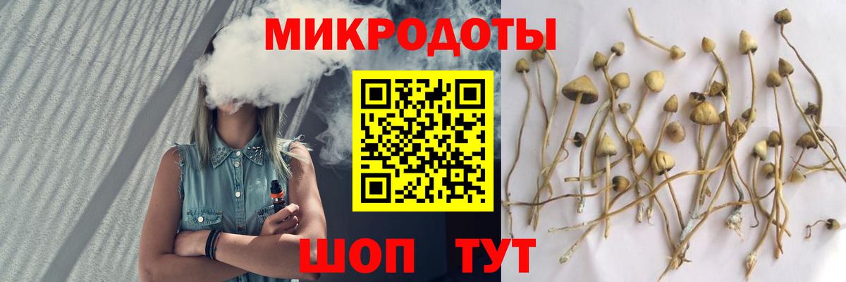 Псилоцибиновые грибы Magic Shrooms  Галлюциногенные грибы ЛСД  Междуреченск  Вход с VPN 